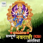Sampurn Navratri Aartiyan Collection 2018 - Amarjeet Singh Song Download